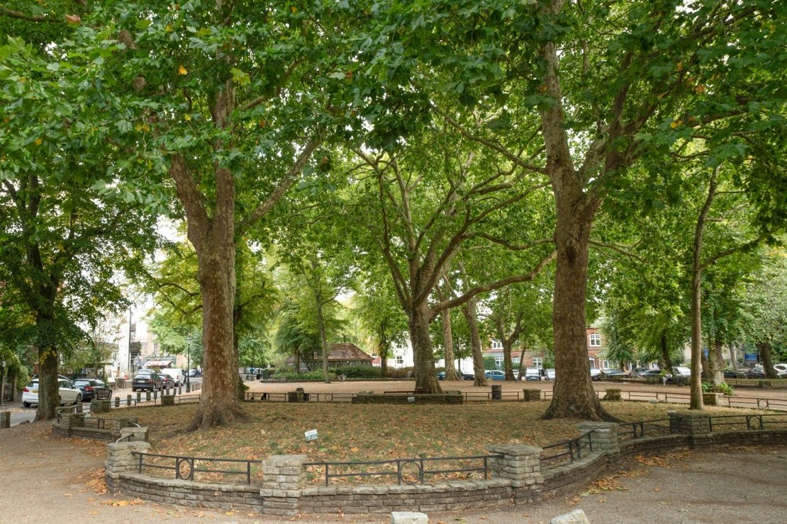 2 bedroom Flat to rent in Highgate West Hill-view17
