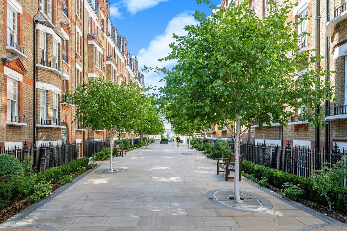 1 bedroom Flat to rent in Marlborough-view14