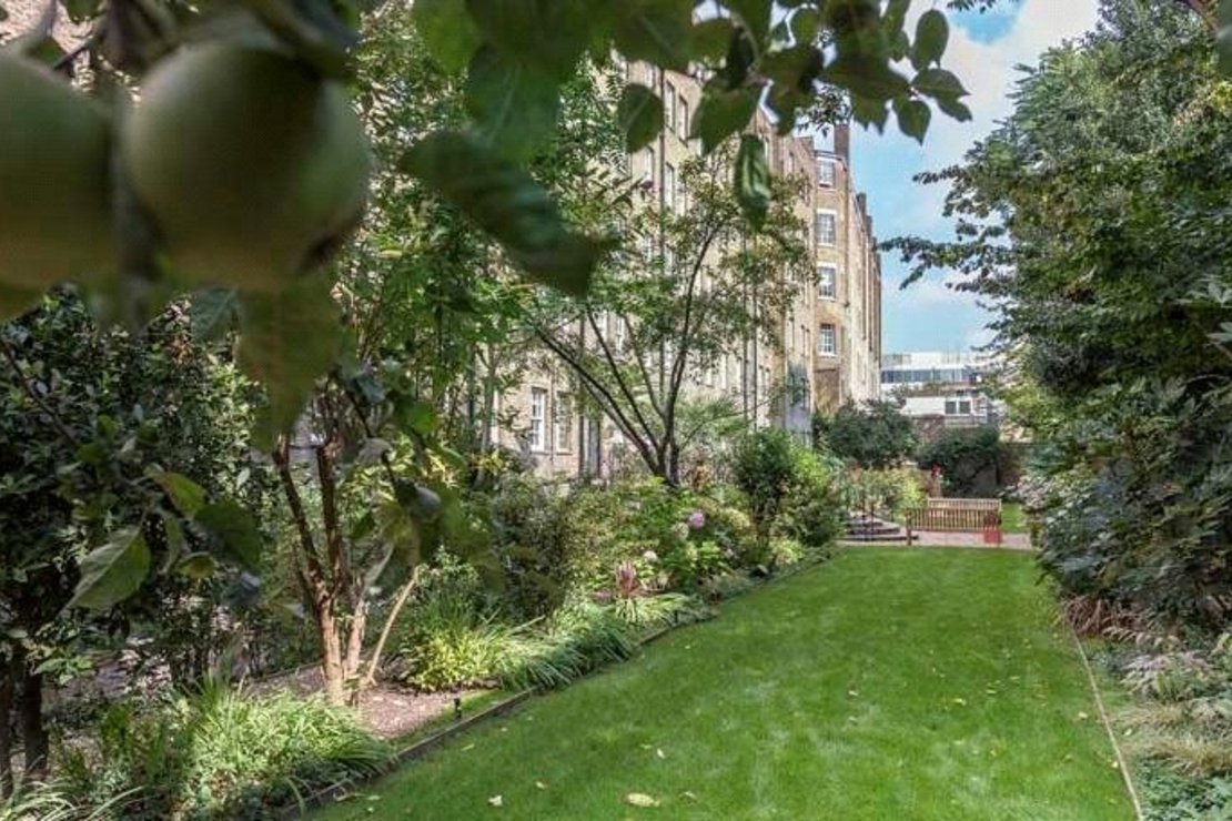 2 bedroom Flat to rent in Pelham Court-view12