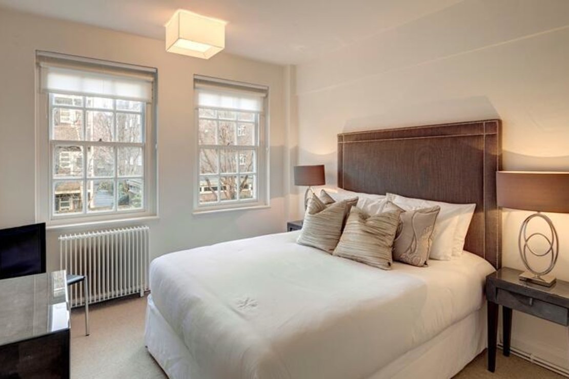2 bedroom Flat to rent in Pelham Court-view3